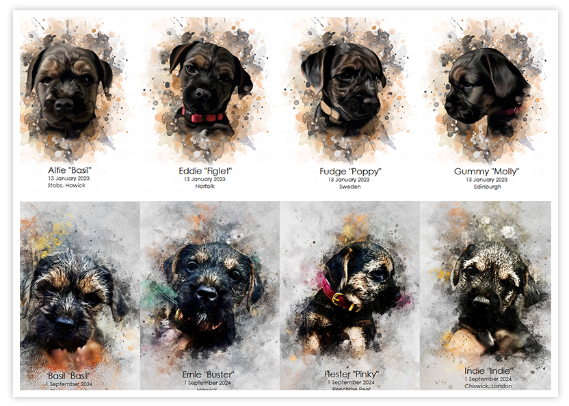 8 puppies 8 puppies